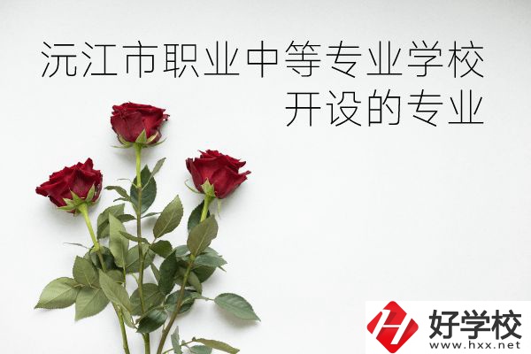 沅江市職業(yè)中等專業(yè)學校怎么樣？開設哪些專業(yè)？