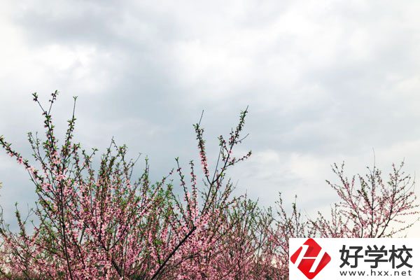 想在邵陽(yáng)讀中專，有哪些學(xué)校推薦？