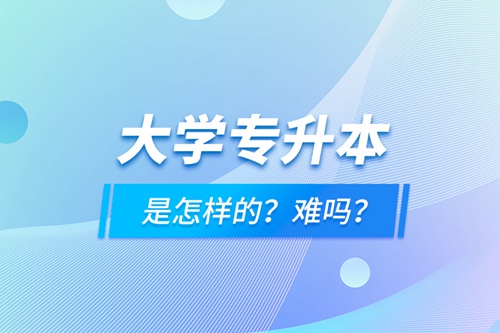 大學(xué)專(zhuān)升本是怎樣的？難嗎？