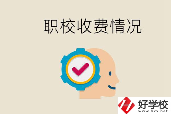 湖南的職校是怎么收費(fèi)的？民辦學(xué)校一年學(xué)費(fèi)要多少？