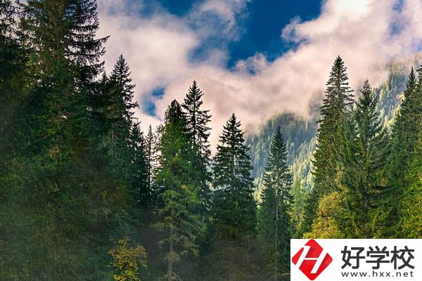 永州東方科技職業(yè)學(xué)校有哪些辦學(xué)特色？