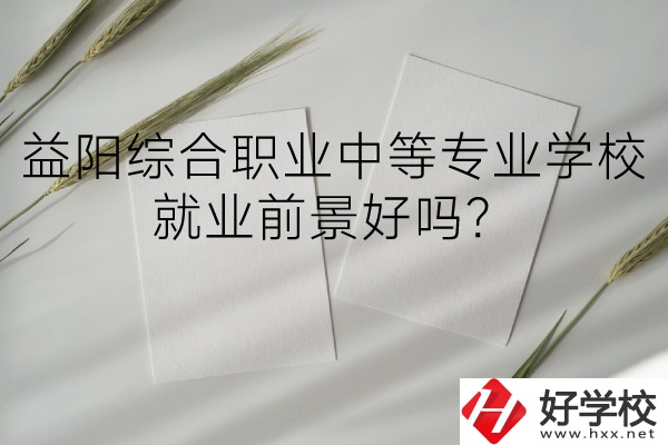 益陽綜合職業(yè)中等專業(yè)學(xué)校如何？就業(yè)前景好嗎？