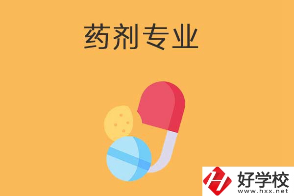 衡陽市有開設(shè)藥劑專業(yè)的中專學(xué)校嗎？招生人數(shù)多嗎？