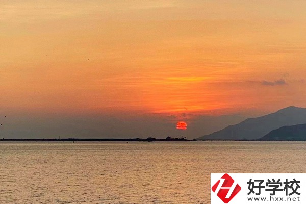 湘西龍山縣誠信職業(yè)技術(shù)學校有哪些對口單招專業(yè)？