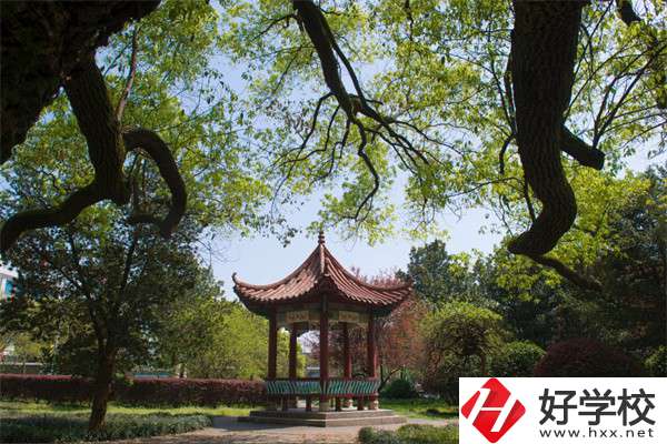 長沙市望城區(qū)職業(yè)中等專業(yè)學(xué)校的官網(wǎng)是什么？