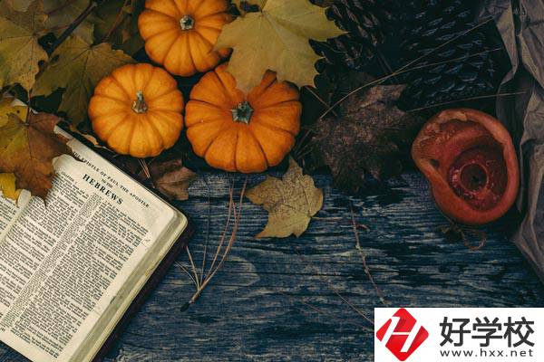 臨湘市職業(yè)中專開設哪些熱門專業(yè)？有哪些就業(yè)方向？