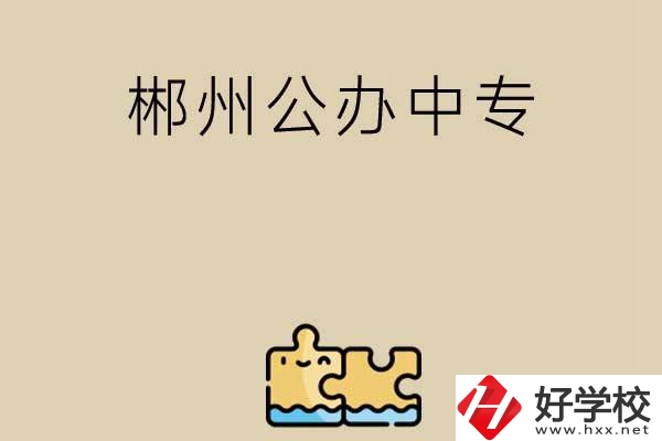 郴州公辦中專有哪些開設(shè)了電子商務(wù)專業(yè)？