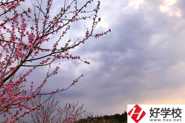 邵陽市瀟湘中等職業(yè)技術(shù)學(xué)校怎么樣？收費標(biāo)準(zhǔn)如何？