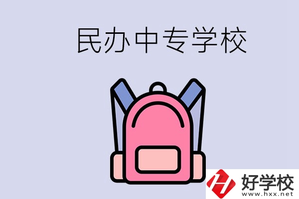 益陽的民辦中專學(xué)校有多少所？辦學(xué)怎么樣？