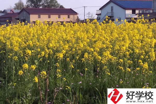 湖南省有哪些比較好的技校？熱門專業(yè)有哪些？