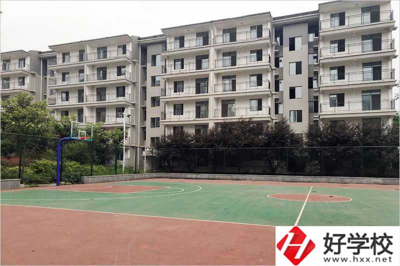 衡陽科技工程學(xué)?；@球場(chǎng)