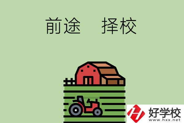 在長沙讀中職學(xué)校有前途嗎，如何擇校？