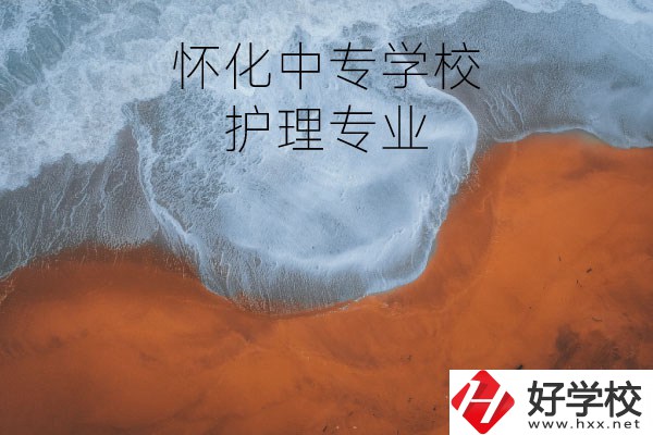 懷化有學(xué)護(hù)理專業(yè)的中專學(xué)校嗎？
