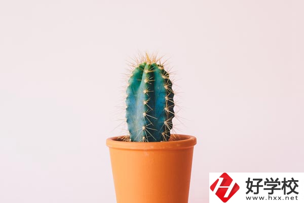 長沙有哪些中職學校可以學習幼師專業(yè)？