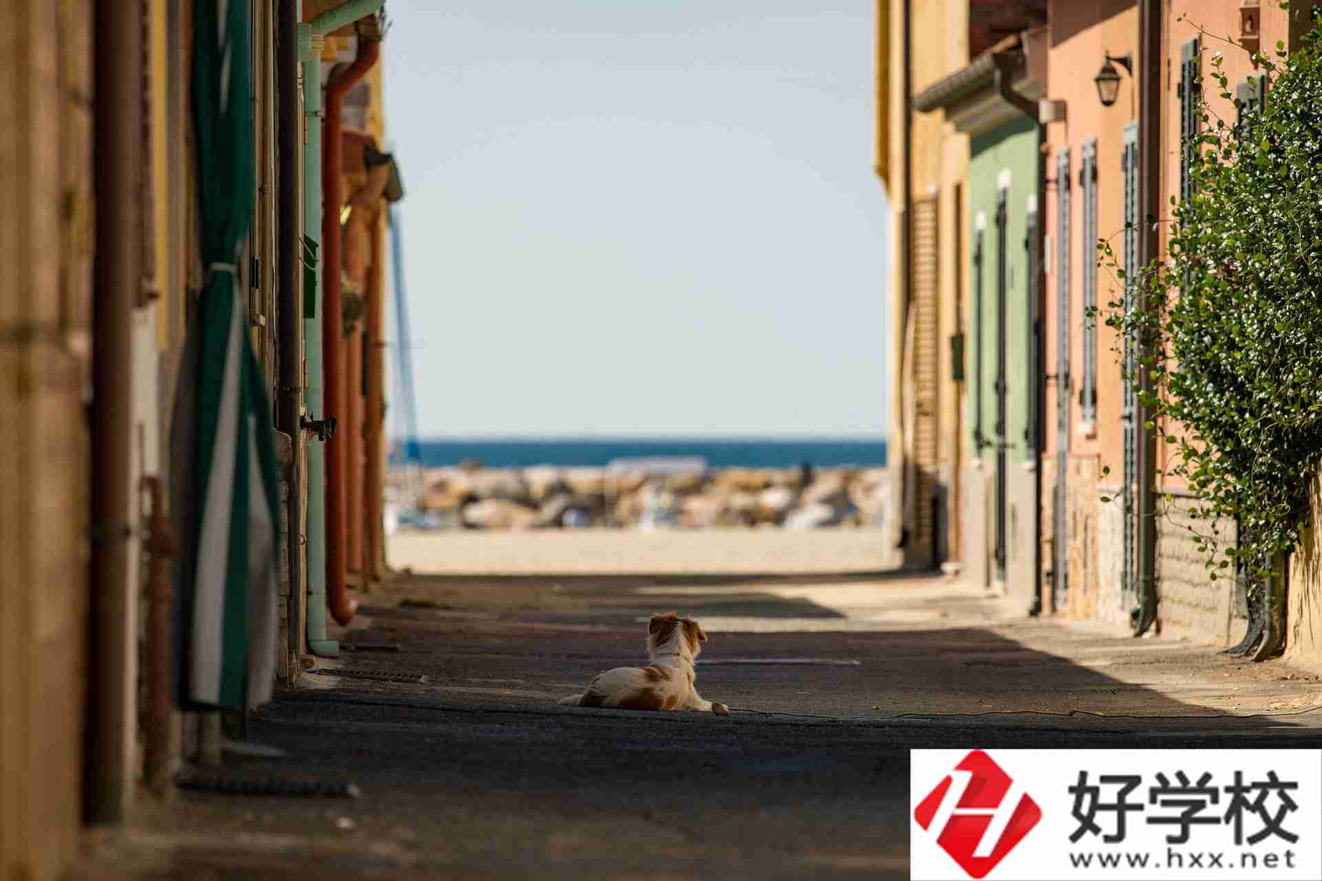 益陽市四通電腦中等專業(yè)學校什么專業(yè)強？