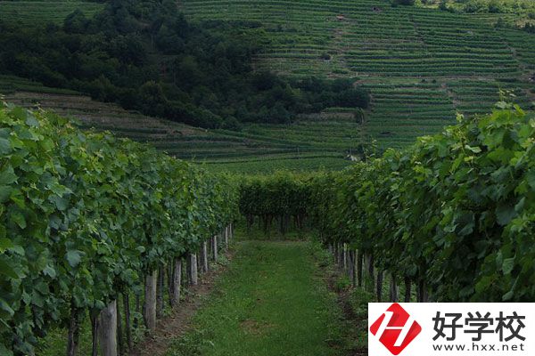 中鋼集團衡陽重機技工學校好不好？值得讀嗎？