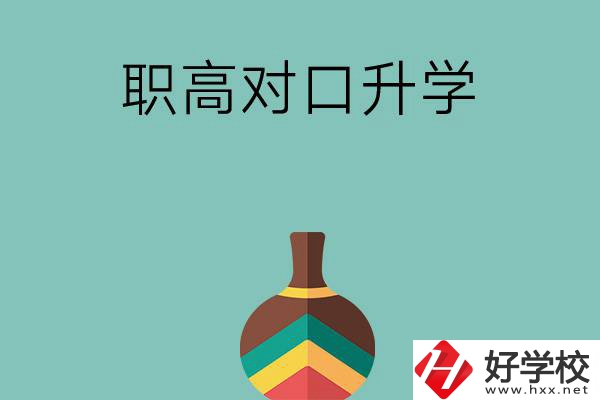 湖南職高對口升學(xué)可以考哪些大專？