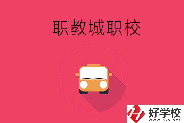 株洲職教城有什么職校？