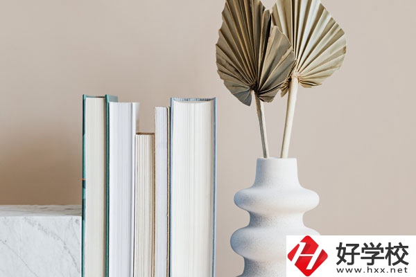 懷化職業(yè)技術(shù)學(xué)院(中職部)好不好，值得選擇嗎？