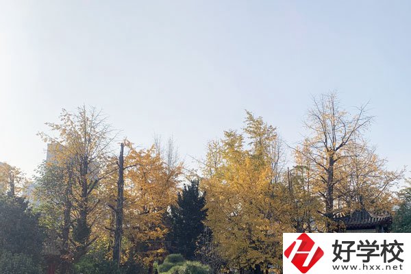 湘潭縣就業(yè)職業(yè)技術學校有哪些專業(yè)？就業(yè)前景怎么樣？