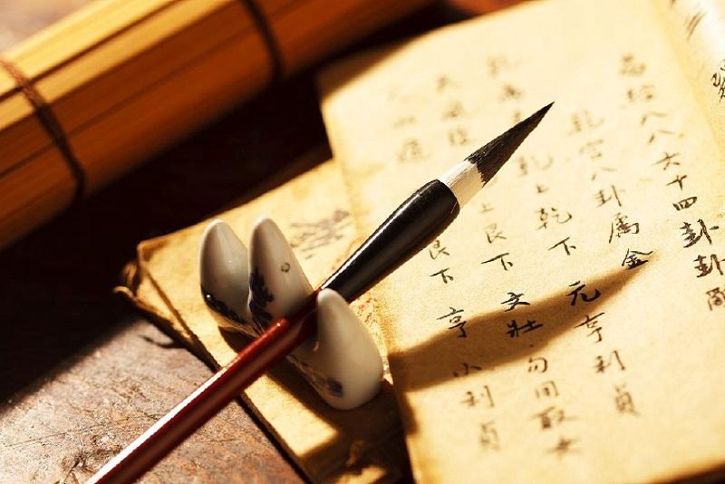 漢語(yǔ)言文學(xué)專業(yè)學(xué)什么？