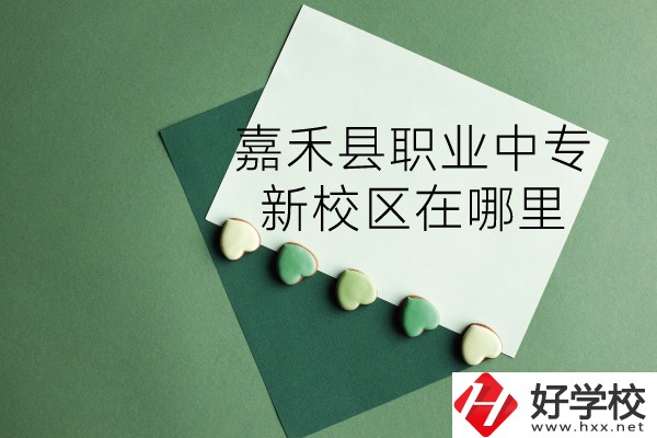 嘉禾縣職業(yè)中專怎么樣？新校區(qū)在哪里？