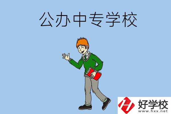 郴州公辦的中專一共有多少所？