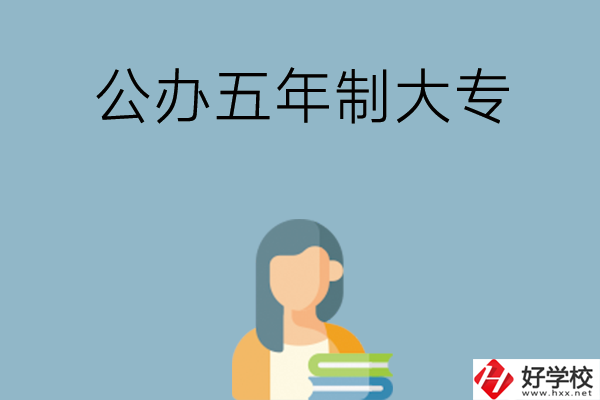 湖南有哪幾所公辦的五年制大專學(xué)校值得了解？