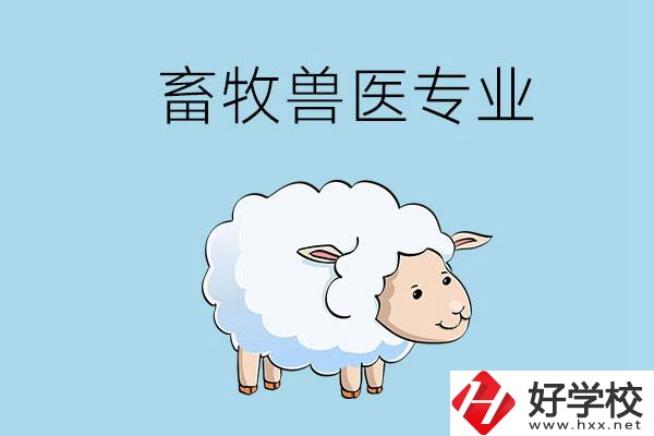 畜牧獸醫(yī)專業(yè)好就業(yè)嗎？湖南哪些技校開設(shè)了該專業(yè)？