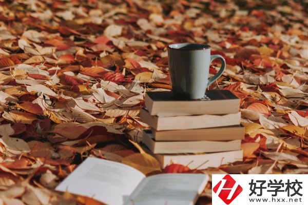 中方縣職業(yè)中等專業(yè)學(xué)校有什么專業(yè)？好不好？