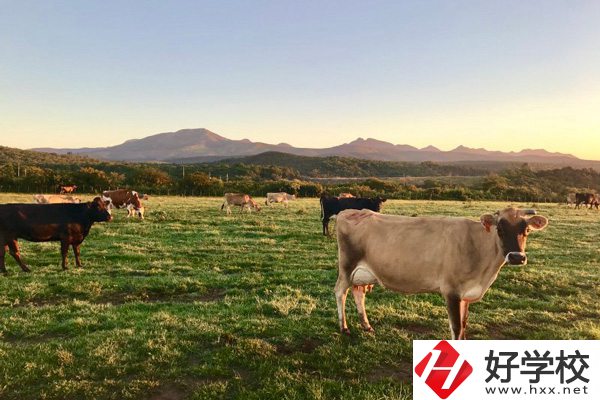 瀘溪縣第一職業(yè)中學(xué)的園林技術(shù)專業(yè)怎么樣？