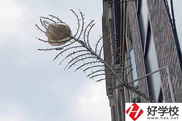 湖南省邵陽交通學(xué)校怎么樣？有哪些熱門專業(yè)？