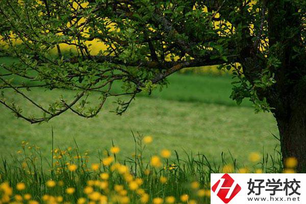 在邵陽讀中職有前途嗎？如何選擇學(xué)校呢？