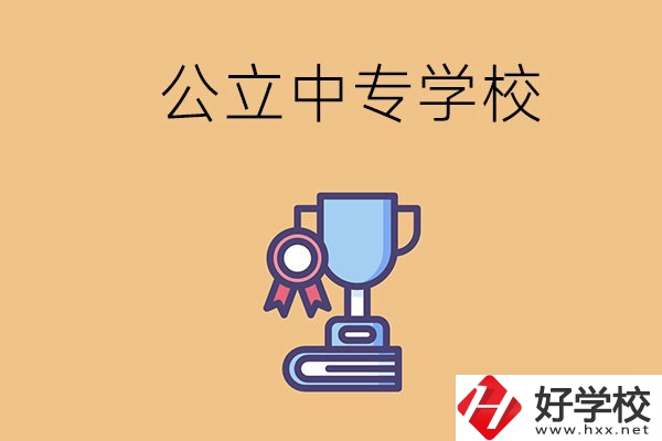 常德的公立中專學(xué)校有哪些？有什么特色？