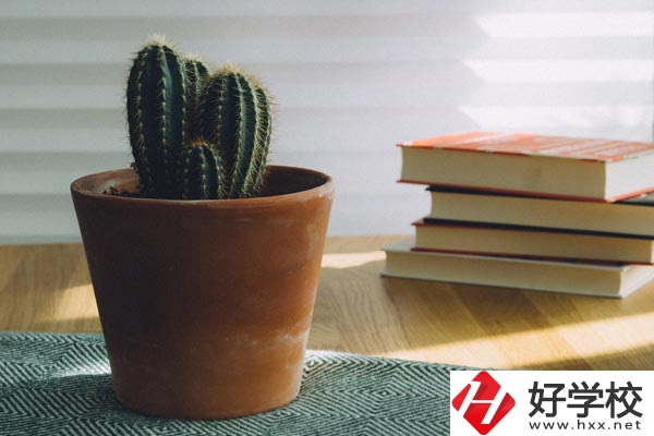 桃江縣職業(yè)中專(zhuān)學(xué)校辦學(xué)條件怎么樣？有哪些特色？