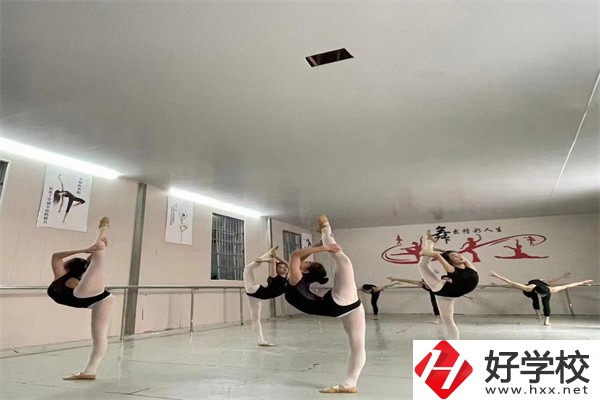 懷化市大鑫藝術(shù)職業(yè)學(xué)校是公辦嗎？學(xué)費(fèi)是多少？