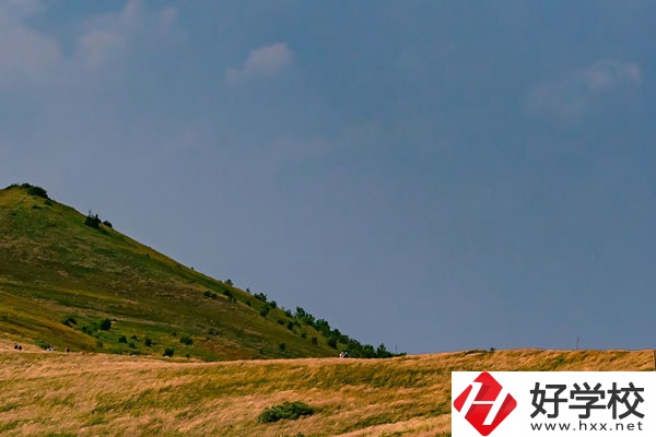 想在常德學(xué)動漫設(shè)計專業(yè)，有合適的學(xué)校嗎？