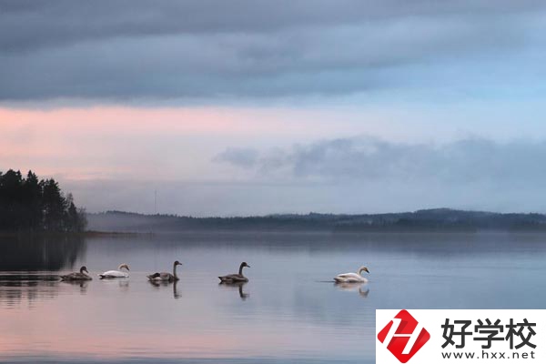湖南有色金屬中專學(xué)校有哪些專業(yè)？就業(yè)方向如何？