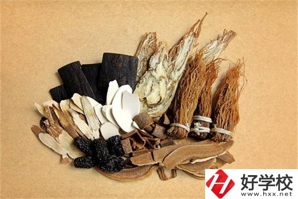 在湘西學(xué)中草藥栽培怎么樣？開設(shè)此專業(yè)的學(xué)校有哪些？