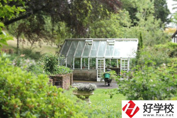 湖南省商業(yè)技師學(xué)院開設(shè)哪些專業(yè)？就業(yè)情況如何？