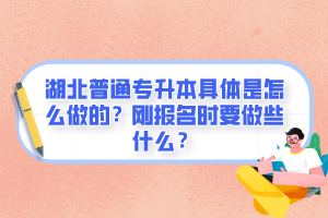 湖北普通專升本具體是怎么做的？剛報(bào)名時(shí)要做些什么？