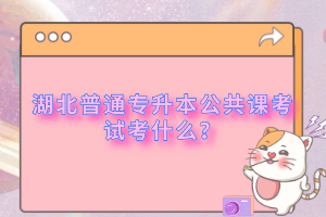 湖北普通專升本公共課考試考什么？