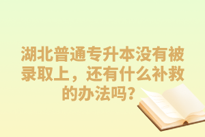湖北普通專升本沒有被錄取上，還有什么補救的辦法嗎？