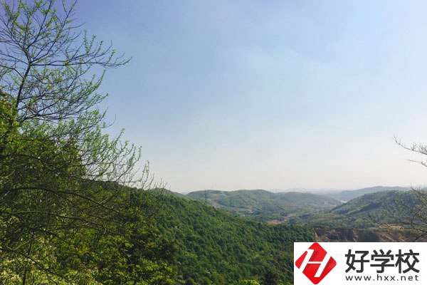 株洲人工智能職業(yè)技術(shù)學(xué)校哪個專業(yè)更好？
