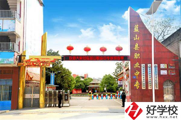 藍(lán)山縣職業(yè)中等專業(yè)學(xué)校是公辦學(xué)校嗎？有什么專業(yè)？
