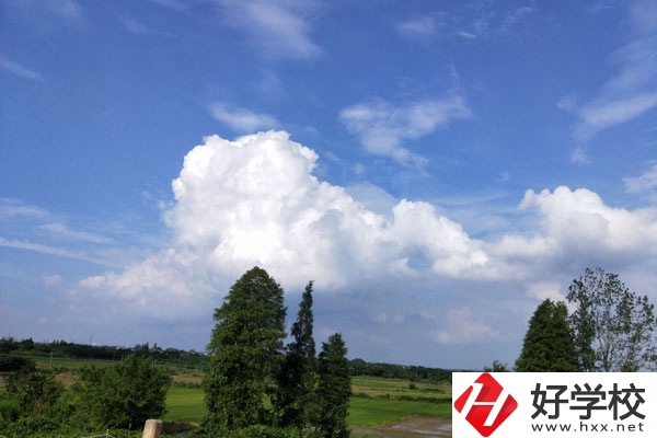 益陽市勞動科技職業(yè)技術(shù)學校辦學實力怎么樣？