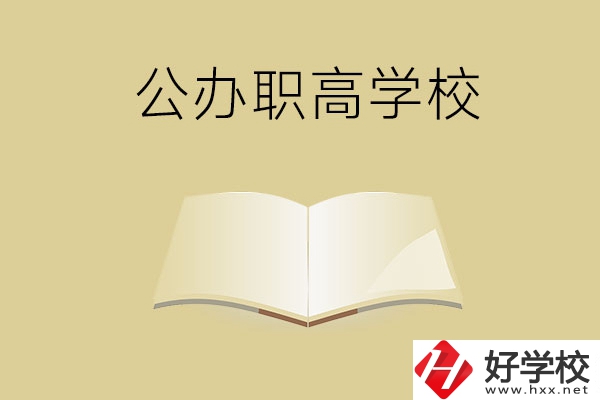 懷化公辦的職高學(xué)校有哪些？
