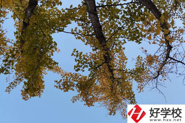 株洲有哪些比較好的中專學(xué)校？