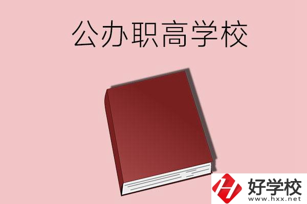 湖南有什么公辦的職高學(xué)校？