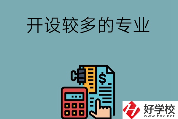 湖南的中職學(xué)校開(kāi)設(shè)較多的專業(yè)是哪些？
